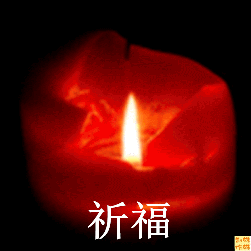 9506561.gif