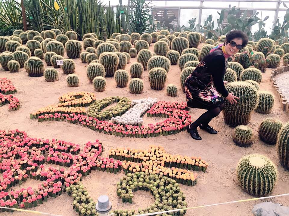 老妈.jpg